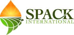 Spack International Logo