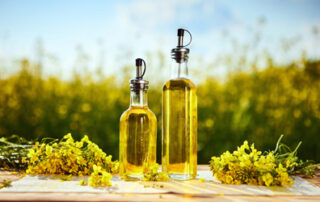 facts about canola oil