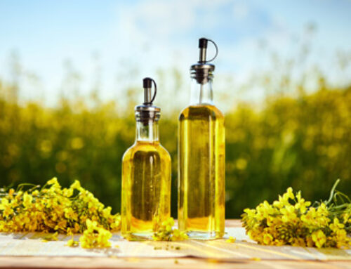 Fascinating Facts About Canola Oil