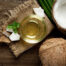 Organic Coconut Oil RBD